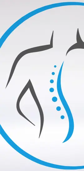 Branding für Orthopädie Pachinger - Logo-Ansicht